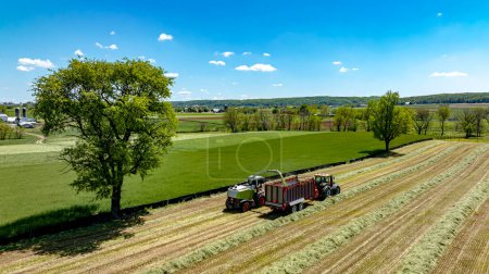 A captivating aerial view of agricultural harvesting in progress with machinery collecting rows of cut crops, set in a vibrant green landscape under a sky filled with fluffy clouds.