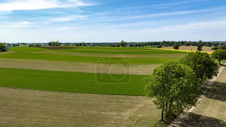 Una escena rural idílica desde arriba, con varios tonos de campos de cultivo segmentados por senderos y rodeados de árboles, bajo un cielo soleado.