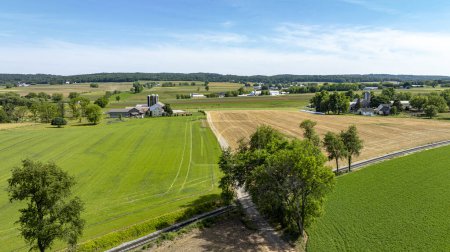Aerial view capturing a picturesque landscape of mixed-use farm fields, trees, and farm buildings, under the warm sunlight of a summers day.