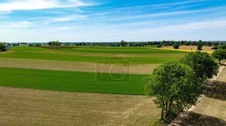 An idyllic rural scene from above, featuring various shades of crop fields segmented by pathways and surrounded by trees, under a sunny sky.