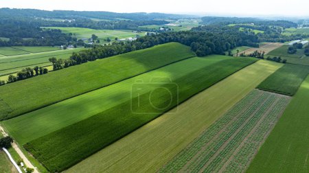 Ein Blick aus der Luft auf saftige Felder und hügeliges Land