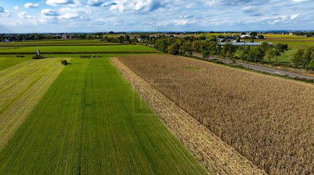 Una vista aérea de los campos de maíz y pastos verdes en el campo