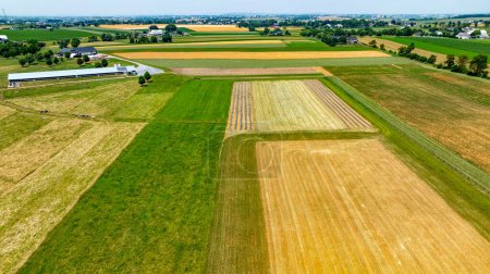 Una vista aérea de las tierras agrícolas expansivas con cultivos y pastos