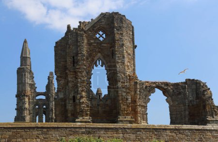 Photo for Ruin of Whitby monastery in North Yorkshire, UK - Royalty Free Image