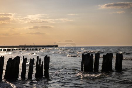 Breakwaters on the beach in Ustka at sunset