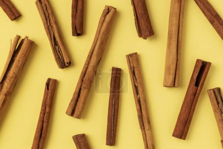Photo for Dried bark strips of Ceylon cinnamon (Cinnamomum verum) and Indonesian cinnamon (C. burmanni). - Royalty Free Image