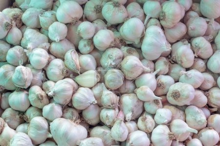 Photo for The unpeeled garlic heads are a rich and earthy shade of brown, with small hints of purple and white that add depth and dimension to the overall composition. The various sizes and shapes of the garlic heads create a sense of texture and movement, add - Royalty Free Image