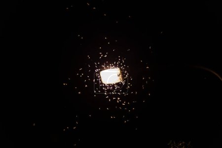 Foto de Muchos insectos Ephemeroptera vuelan en la luz - Imagen libre de derechos