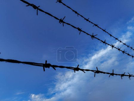 Barbed wire against blue sky. Closed borders in Ukraine