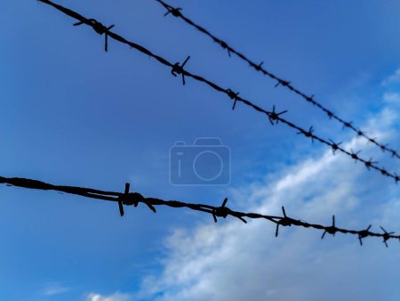 Barbed wire against blue sky. Closed borders in Ukraine