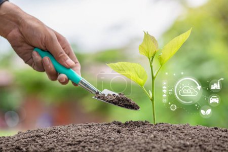 Hand planting trees with technology of renewable resources to reduce pollution. ESG icon concept, environmental, social and sustainable business governance. 