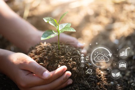 Foto de Hand holding seedlings with environment icons over the Network connection on nature background, Technology ecology concept. - Imagen libre de derechos