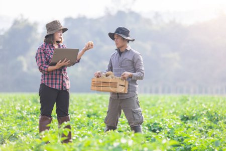 Téléchargez les photos : Les agriculteurs étudient la croissance et la qualité à l'aide de tablettes numériques intelligentes pour enregistrer les données. Concept : Problèmes de recherche et d'étude en agriculture. Agronomiste.Smart Agriculteur. - en image libre de droit