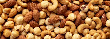 Photo for Roasted Assorted Nut Mix with Cashews, Almonds and Hazelnuts - Royalty Free Image