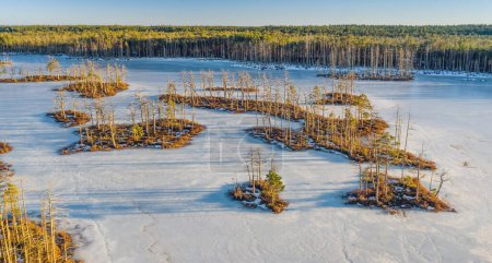 Téléchargez les photos : Paysage printanier précoce. Journée ensoleillée. Nature lettone. Glace et neige sur les marais. Arbres nus. - en image libre de droit