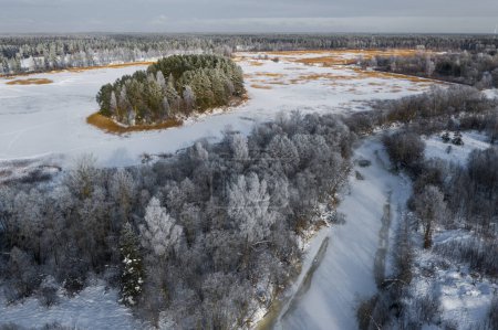 Téléchargez les photos : Vue sur drone supérieur de forêt enneigée. Des arbres nus. Des pins verts. Paysage hivernal pittoresque d'en haut. Ciel nuageux. - en image libre de droit