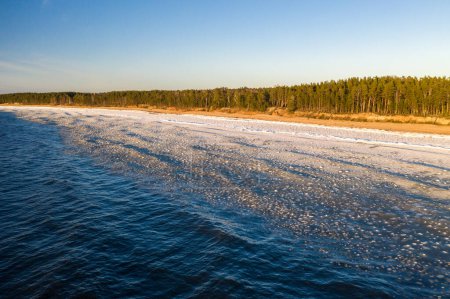 Téléchargez les photos : Paysage pittoresque du rivage de la mer Baltique en hiver. Neige sur sable. Une forêt de pins. Vue aérienne. - en image libre de droit