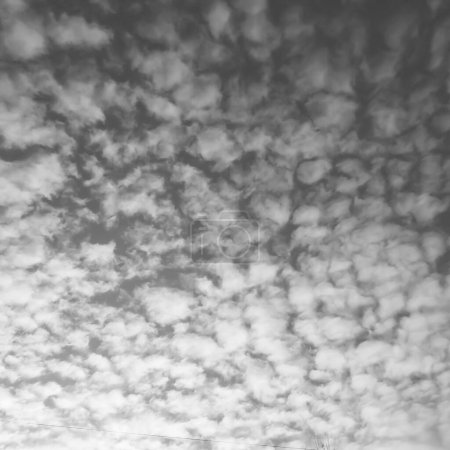 Foto de Hermoso fondo natural. Cielo con nubes blancas. - Imagen libre de derechos