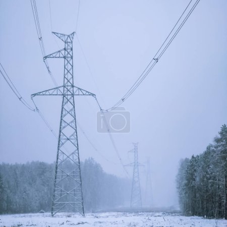 Photo for High voltage electricity power line towers near forest at winter. - Royalty Free Image