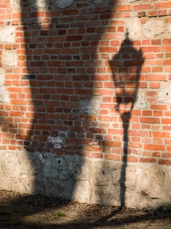 Téléchargez les photos : Ombre d'une lanterne et d'un arbre sur un mur de briques par une journée ensoleillée. - en image libre de droit