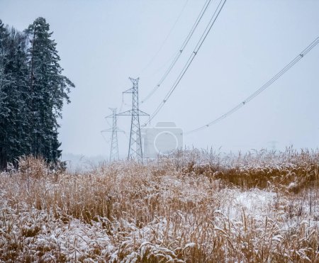 Foto de Torres de línea eléctrica de alta tensión cerca del bosque en invierno. - Imagen libre de derechos