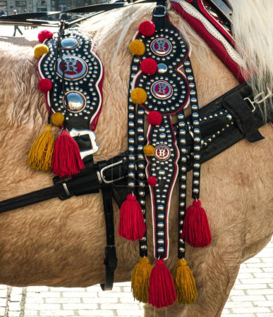 Téléchargez les photos : Gros plan des détails du harnais décoratif en cuir sur cheval brun. Du matériel. Brosses jaunes et rouges. - en image libre de droit