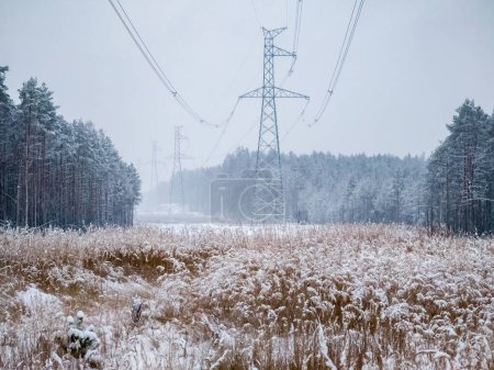 Foto de Torres de línea eléctrica de alta tensión cerca del bosque en invierno. - Imagen libre de derechos