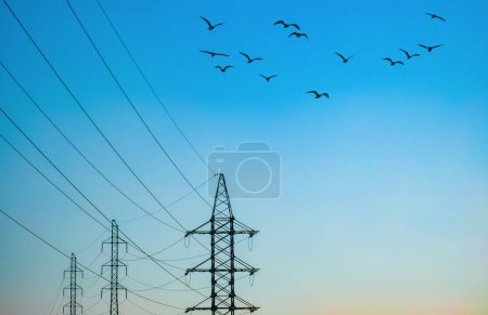 Photo for High voltage electricity power line towers against sky. Flying birds. - Royalty Free Image