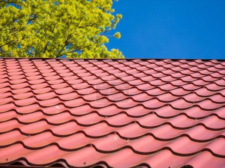 Photo for Red clay ceramic tiled roof. Blue sky. Green tree. - Royalty Free Image