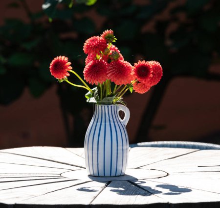 Photo for Close-up of red small dahlias in vase on table in summer garden - Royalty Free Image