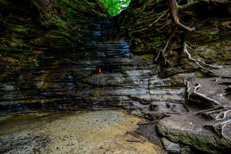 Photo for Chestnut Ridge Park Eternal Flame Falls Trail - Royalty Free Image