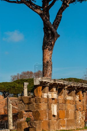  Antike römische Straßensäulen Ostia Antica Ruinen Rom Italien Ausgrabung von Ostia, antiken römischen Hafen, neben Flughafen War Hafen für Rom bis zum 5. Jahrhundert n. Chr., Rom, Latium, Italien, Europa