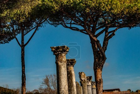  Ancient Roman Street Columns Ostia Antica Ruins Rome Italy Excavation of Ostia, ancient Roman port, next to airport Was port for Rome until 5th Century AD, Rome, Lazio, Italy, Europe