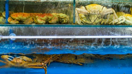 Singapur, April 2024: Szenerie rund um den Clarke Quay mit Bars und Restaurants, die lebendigen Fisch, Hummer und Krabben anbieten