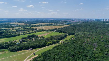 Téléchargez les photos : Drone vue aérienne été nature paysage par temps ensoleillé, forêt d'arbres verts, champ - en image libre de droit