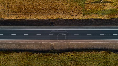 Téléchargez les photos : Drone aerial top view new asphalt road between a field of wheat and corn in summer on a sunny day - en image libre de droit