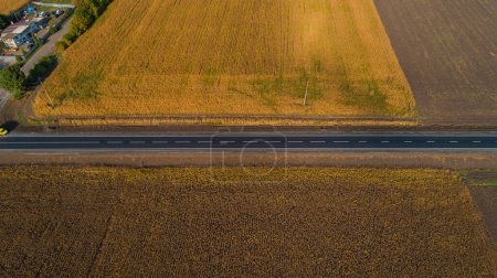 Téléchargez les photos : Drone vue aérienne nouvelle route asphaltée entre un champ de tournesols et de maïs en été par une journée ensoleillée - en image libre de droit