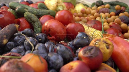 Photo for Global food crisis. Food Loss at the Farm Level. The Problem of Food Waste. High quality photo - Royalty Free Image