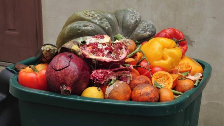 Téléchargez les photos : Crise des déchets alimentaires. Fruits et légumes pourris gâtés à la poubelle. Photo de haute qualité - en image libre de droit