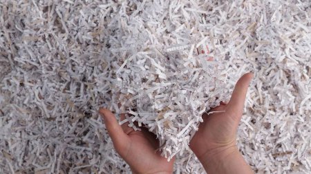 Photo for Shredded documents. Waste Reduction and Recycling. Animal bedding, Packing material, Worm bin. High quality 4k footage - Royalty Free Image