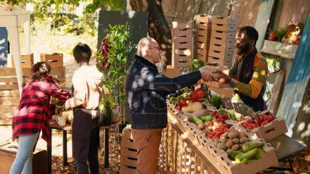 Téléchargez les photos : Elderly man buying various fresh eco fruits and veggies at farmers market during fall time. Positive african american farmer small business owner selling his homegrown bio products. - en image libre de droit