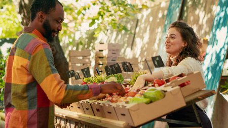 Ein Team von Verkäufern verkauft lokal angebaute Ökoprodukte an verschiedene Menschen, die mit den Gepflogenheiten über gesunde Ernährung sprechen. Verkäufer, die frisches Bio-Obst und Gemüse auf dem Lebensmittelmarkt anbieten. Handschuss.