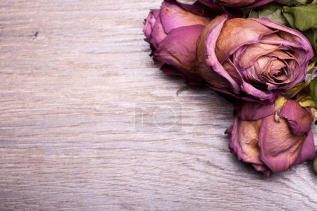 Téléchargez les photos : Roses mortes sur fond bois vintage en studio photo - en image libre de droit