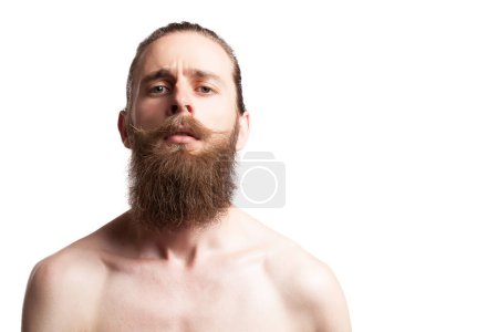 Téléchargez les photos : Hipster portant une longue barbe sur fond blanc en studio photo - en image libre de droit