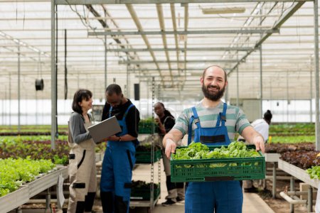 Photo for Busy group of farmers in modern entrepreneurial bio agricultural greenhouse used for growing natural healthy eco vegetables. Regenerative agriculture using pesticide free soil fertilizer - Royalty Free Image
