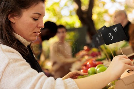 Photo for Close up of female vendor putting price tags for every product while working at farmers market, selective focus. Woman small business owner selling fresh organic home-grown fruits and vegetables - Royalty Free Image