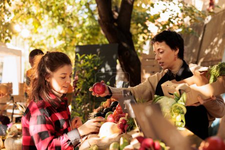 Téléchargez les photos : Jeune femme parlant avec le vendeur tout en choisissant des pommes au marché local, debout près de l'étal de fruits et légumes. agricultrice vendant des produits naturels biologiques frais au client sur le marché vert saisonnier - en image libre de droit