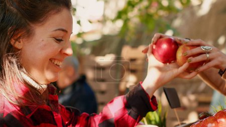 Foto de Cliente joven que elige manzanas coloridas para comprar a granjeros locales, mirando productos saludables en el mostrador del mercado verde. Cliente femenina visitando puesto de mercado de agricultores, productos orgánicos. Disparo de mano. - Imagen libre de derechos