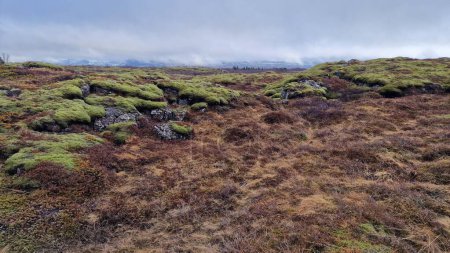 Téléchargez les photos : Prairies nordiques et champs gelés en Islande situés dans la vallée des hautes terres du parc national de Thingvellir. Paysage glaciaire spectaculaire avec des formations rocheuses et des terres brunes. - en image libre de droit