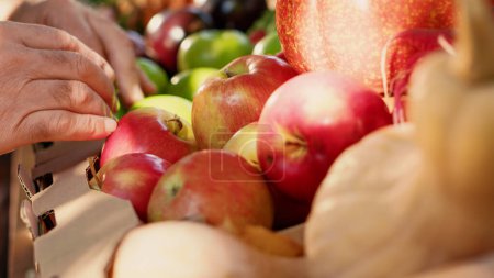 Photo for Senior customer looking at organic colorful fruits on local food market, buying natural vegetables and products outdoors. Person cchecking fresh eco produce on counter. Close up. Handheld shot. - Royalty Free Image